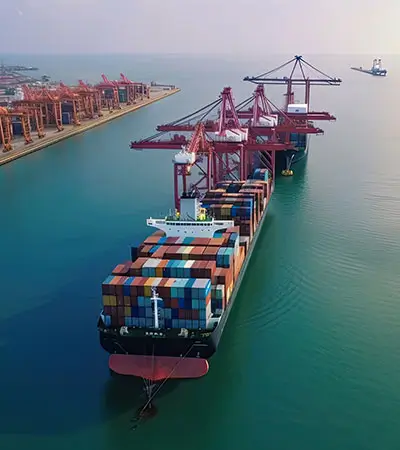 service-air-img Sea Freight Forwarding<br />